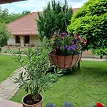 Vidra Holiday home *