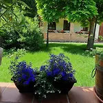Vidra