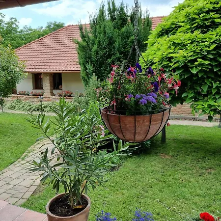 Vidra Holiday home *