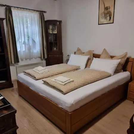 Vidra Holiday home *