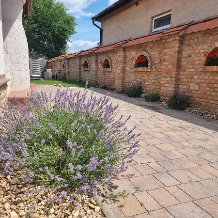 Vidra Holiday home