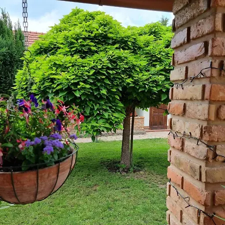 Vidra Holiday home Tiszafured