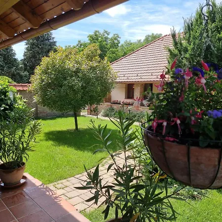 Vidra Holiday home *