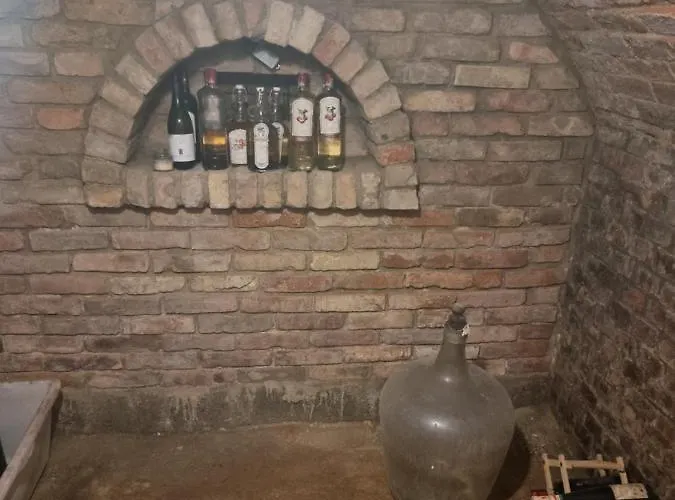 Tatil Evi Vidra *
