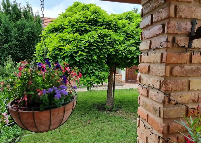 Vidra Σπίτι διακοπών Tiszafüred